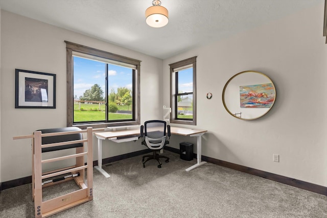 219 Rudys Way, Hamilton, MT 59840 - carpeted home office with baseboards