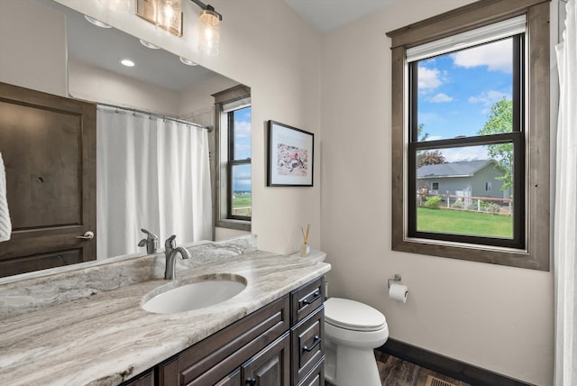 219 Rudys Way, Hamilton, MT 59840 - bathroom featuring wood finished floors, baseboards, vanity, toilet, and curtained shower