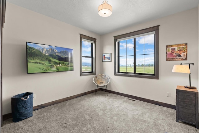 219 Rudys Way, Hamilton, MT 59840 - empty room featuring carpet floors and baseboards