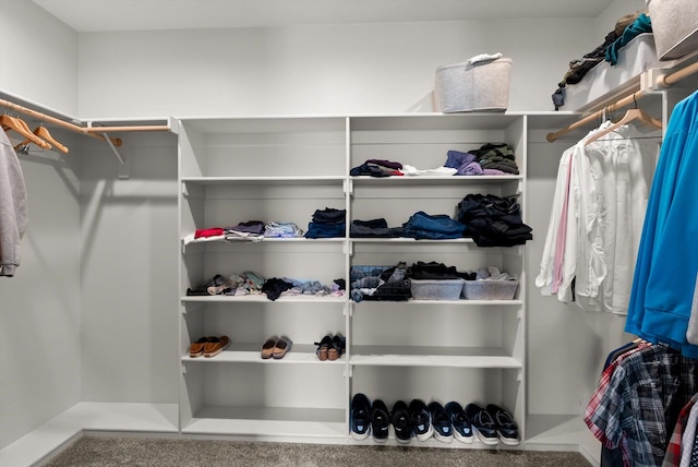 219 Rudys Way, Hamilton, MT 59840 - view of walk in closet