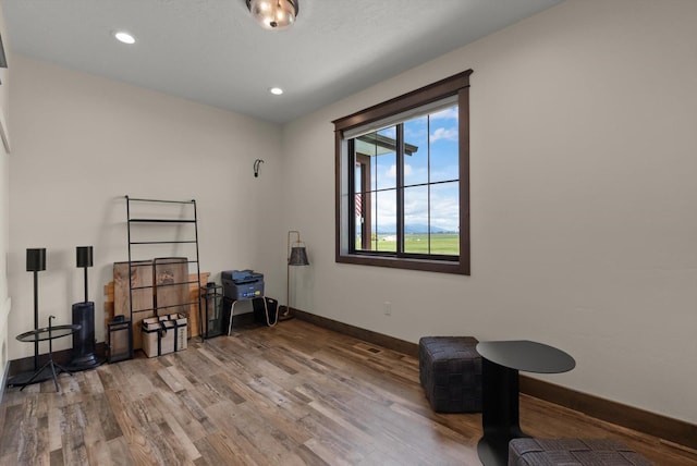 219 Rudys Way, Hamilton, MT 59840 - miscellaneous room featuring wood finished floors, baseboards, and recessed lighting