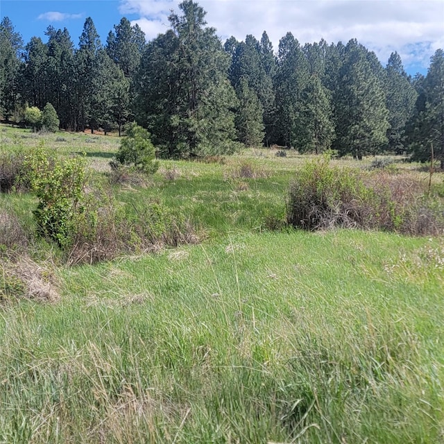 1233 Narrow Way, Stevensville, MT 59870