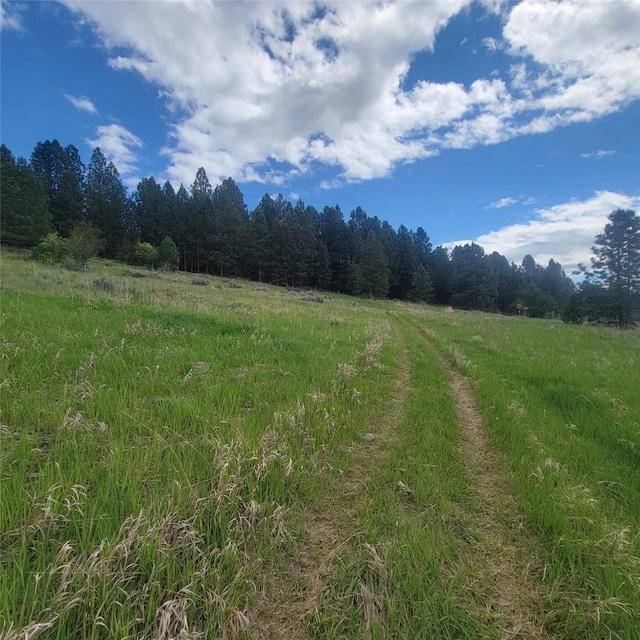 1233 Narrow Way, Stevensville, MT 59870