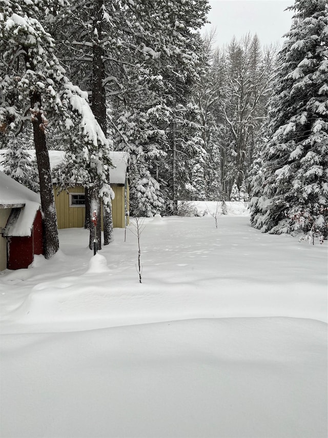 14367 US Highway 2 E, Essex, MT 59916 - view of snowy yard