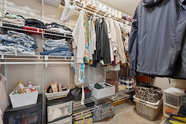 14132 Pine St, Bigfork, MT 59911 - view of walk in closet