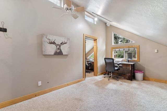 14132 Pine St, Bigfork, MT 59911 - carpeted office space featuring lofted ceiling, a ceiling fan, baseboards, and a textured ceiling