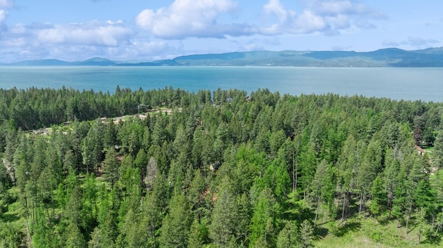 14132 Pine St, Bigfork, MT 59911 - water view with a mountain backdrop