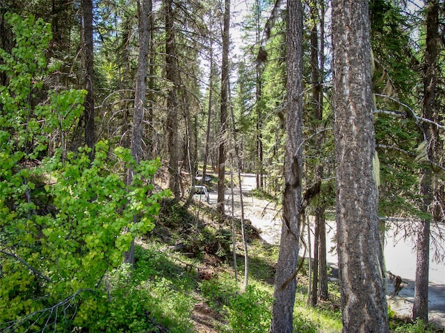 LOT7 Warland Creek Rd, Libby, MT 59923