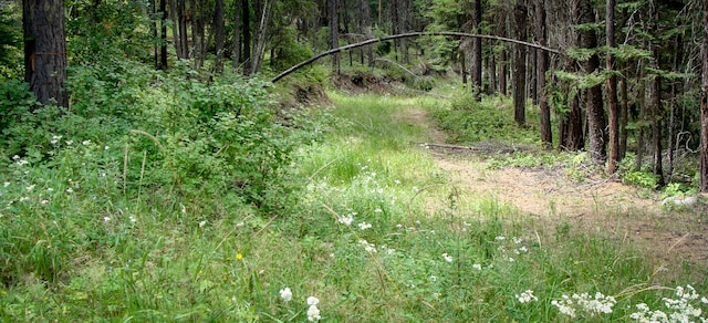 LOT7 Warland Creek Rd, Libby, MT 59923