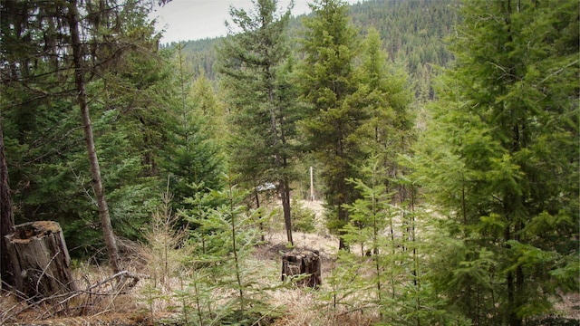 1396 Warland Creek Rd, Libby, MT 59923