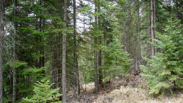 1396 Warland Creek Rd, Libby, MT 59923