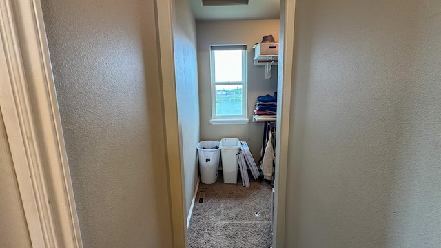 3319 Ivy Dr, Helena, MT 59602 - corridor with carpet floors and a textured wall