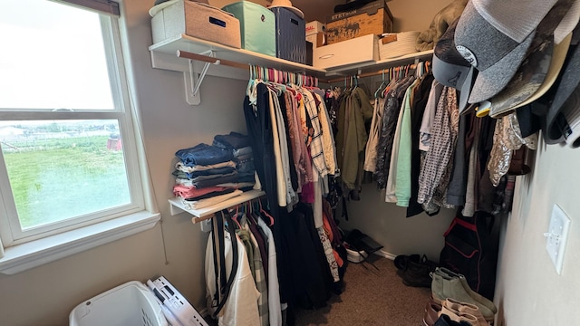 3319 Ivy Dr, Helena, MT 59602 - walk in closet featuring carpet