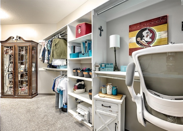 4731 Sea Ray Rd, Helena, MT 59602 - spacious closet featuring carpet flooring