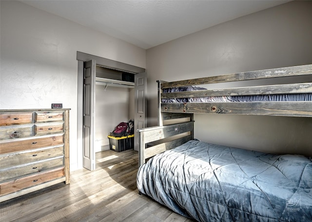 4731 Sea Ray Rd, Helena, MT 59602 - bedroom with wood finished floors and a closet