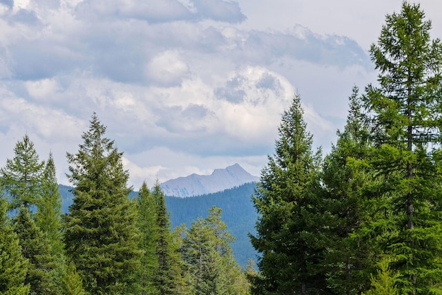 1182 Lake Meadow Way, Columbia Falls, MT 59912