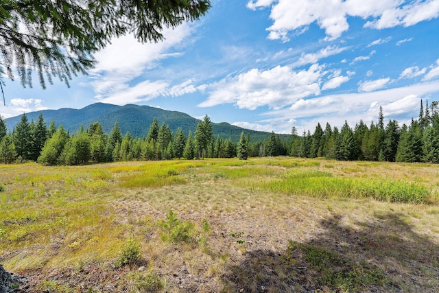 1182 Lake Meadow Way, Columbia Falls, MT 59912