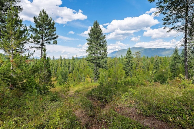 1182 Lake Meadow Way, Columbia Falls, MT 59912