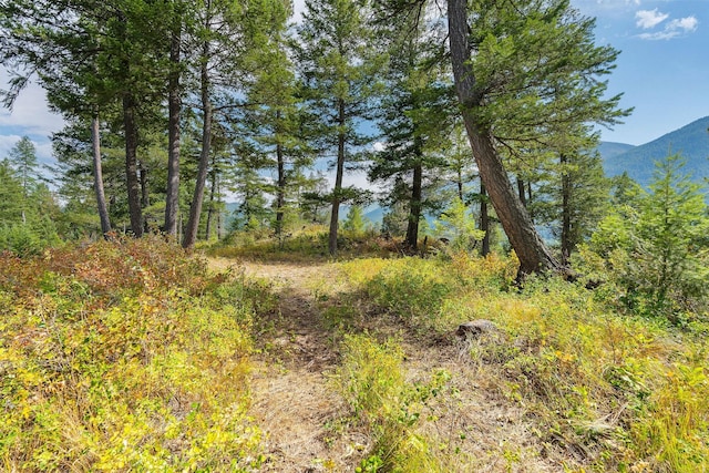 1182 Lake Meadow Way, Columbia Falls, MT 59912