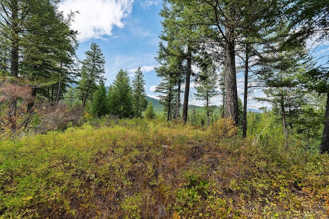1182 Lake Meadow Way, Columbia Falls, MT 59912