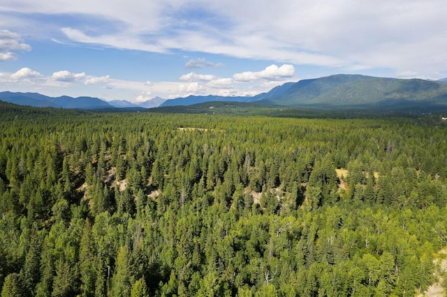 1182 Lake Meadow Way, Columbia Falls, MT 59912