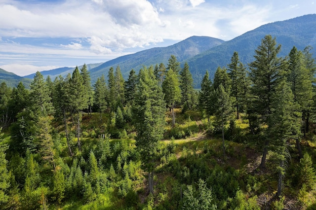 1182 Lake Meadow Way, Columbia Falls, MT 59912