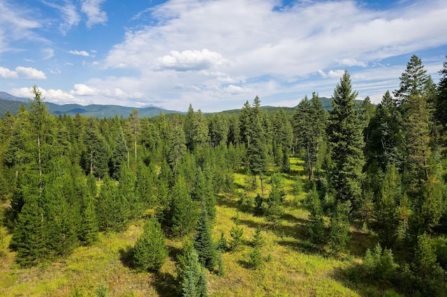 1182 Lake Meadow Way, Columbia Falls, MT 59912