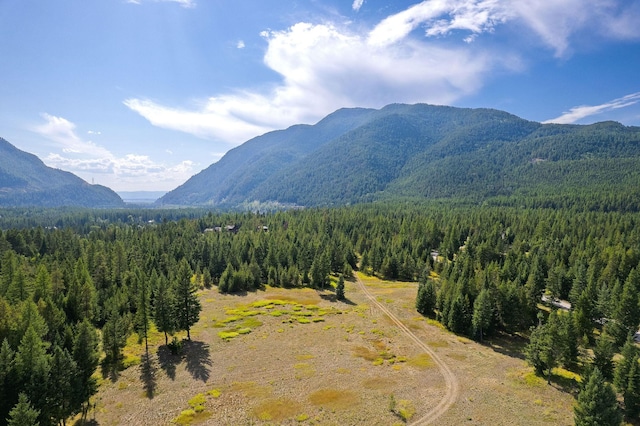 1182 Lake Meadow Way, Columbia Falls, MT 59912