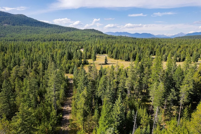 1182 Lake Meadow Way, Columbia Falls, MT 59912