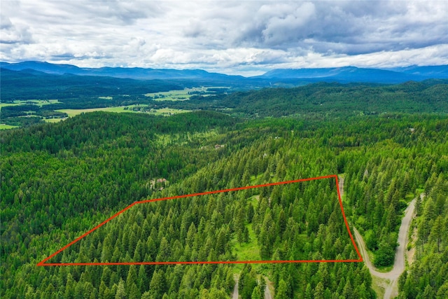 540 Antler Ridge Rd, Whitefish, MT 59937