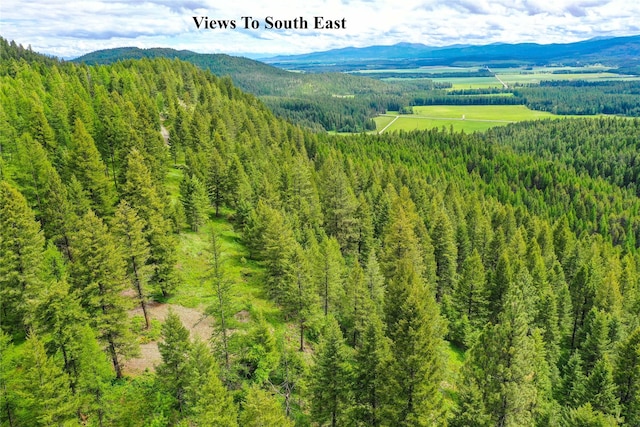 540 Antler Ridge Rd, Whitefish, MT 59937