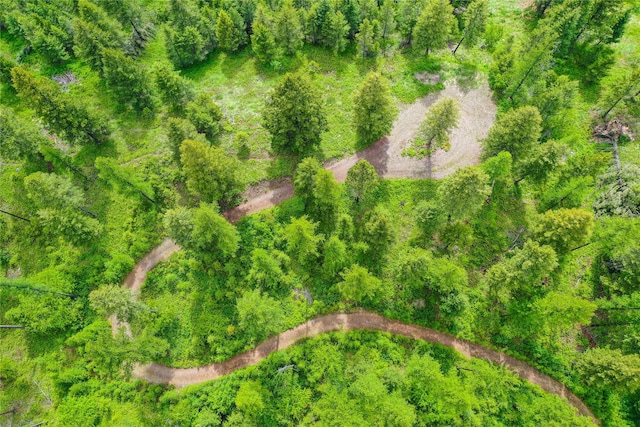 540 Antler Ridge Rd, Whitefish, MT 59937