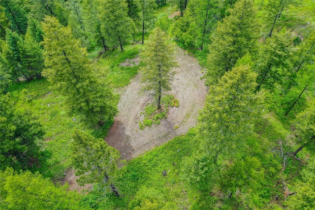 540 Antler Ridge Rd, Whitefish, MT 59937