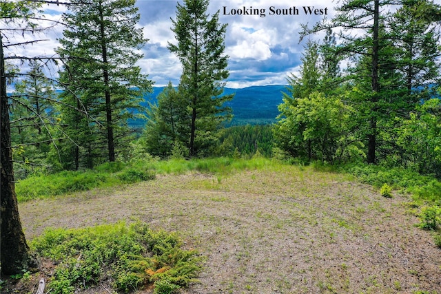 540 Antler Ridge Rd, Whitefish, MT 59937