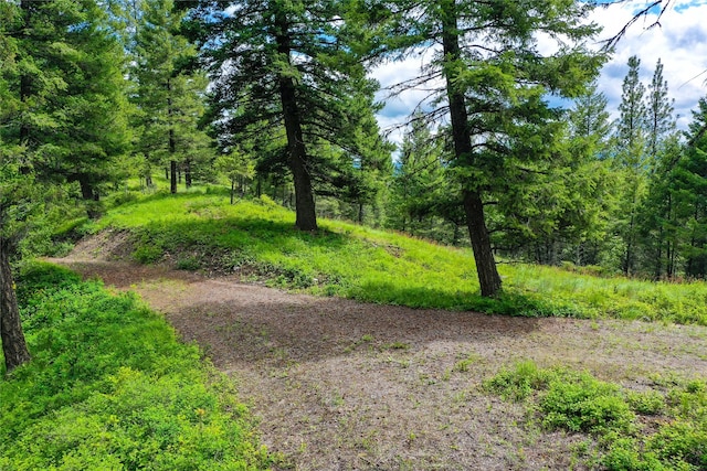 540 Antler Ridge Rd, Whitefish, MT 59937