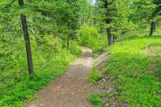 540 Antler Ridge Rd, Whitefish, MT 59937