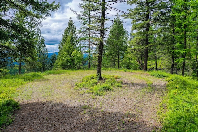 540 Antler Ridge Rd, Whitefish, MT 59937