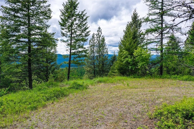 540 Antler Ridge Rd, Whitefish, MT 59937
