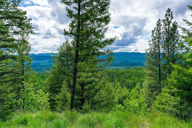 540 Antler Ridge Rd, Whitefish, MT 59937