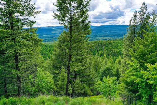540 Antler Ridge Rd, Whitefish, MT 59937