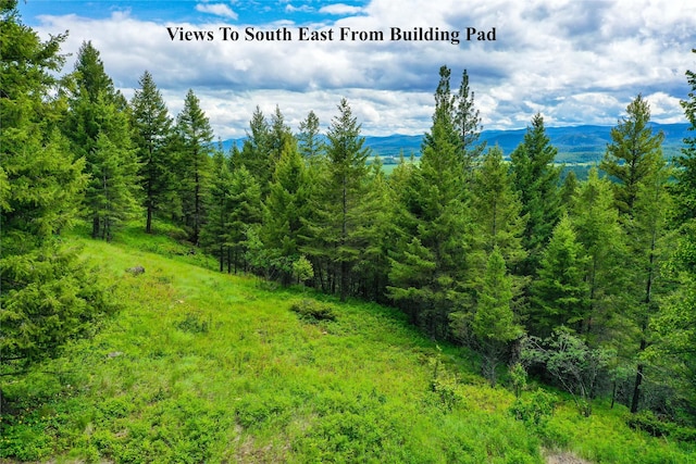 540 Antler Ridge Rd, Whitefish, MT 59937