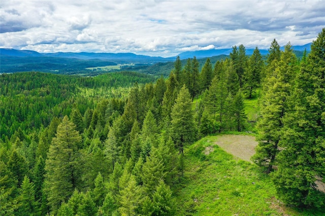 540 Antler Ridge Rd, Whitefish, MT 59937