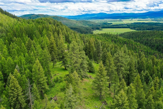 540 Antler Ridge Rd, Whitefish, MT 59937