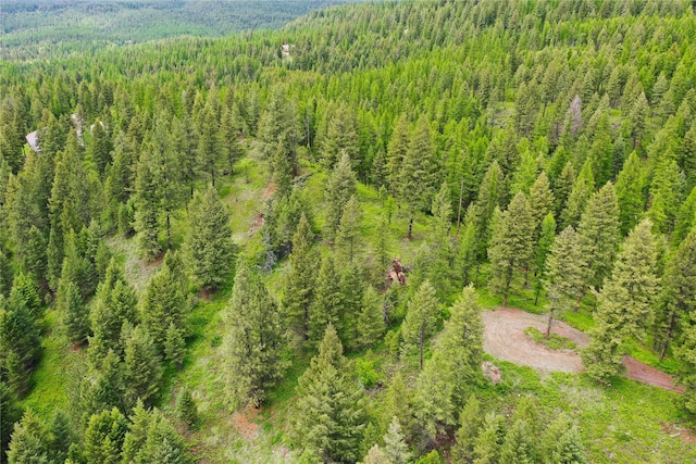 540 Antler Ridge Rd, Whitefish, MT 59937