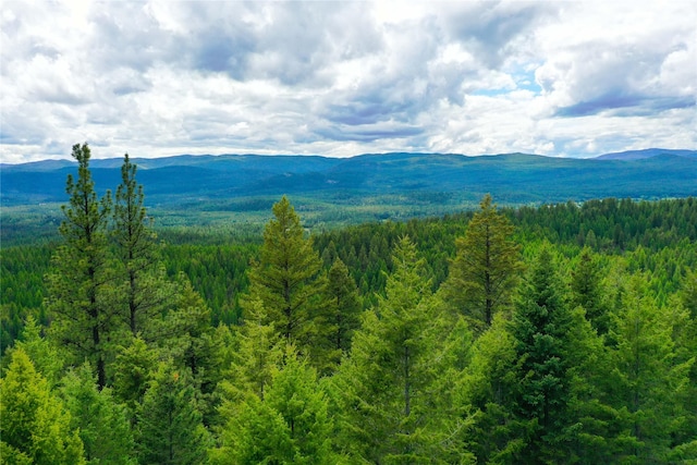 540 Antler Ridge Rd, Whitefish, MT 59937