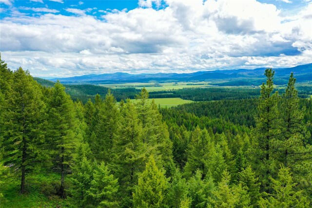 540 Antler Ridge Rd, Whitefish, MT 59937