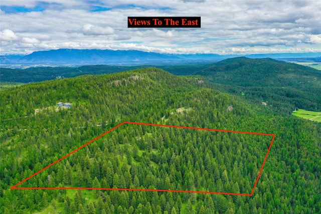540 Antler Ridge Rd, Whitefish, MT 59937