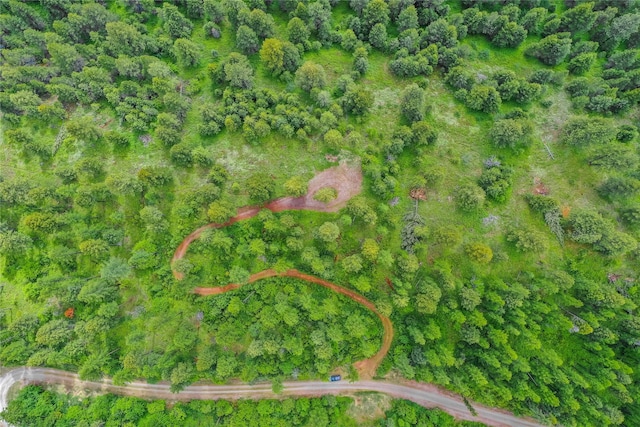540 Antler Ridge Rd, Whitefish, MT 59937