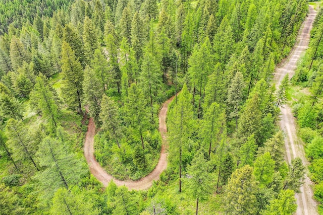 540 Antler Ridge Rd, Whitefish, MT 59937