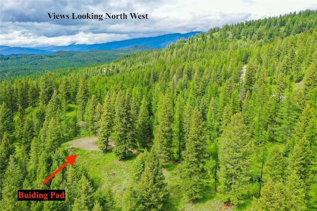 540 Antler Ridge Rd, Whitefish, MT 59937